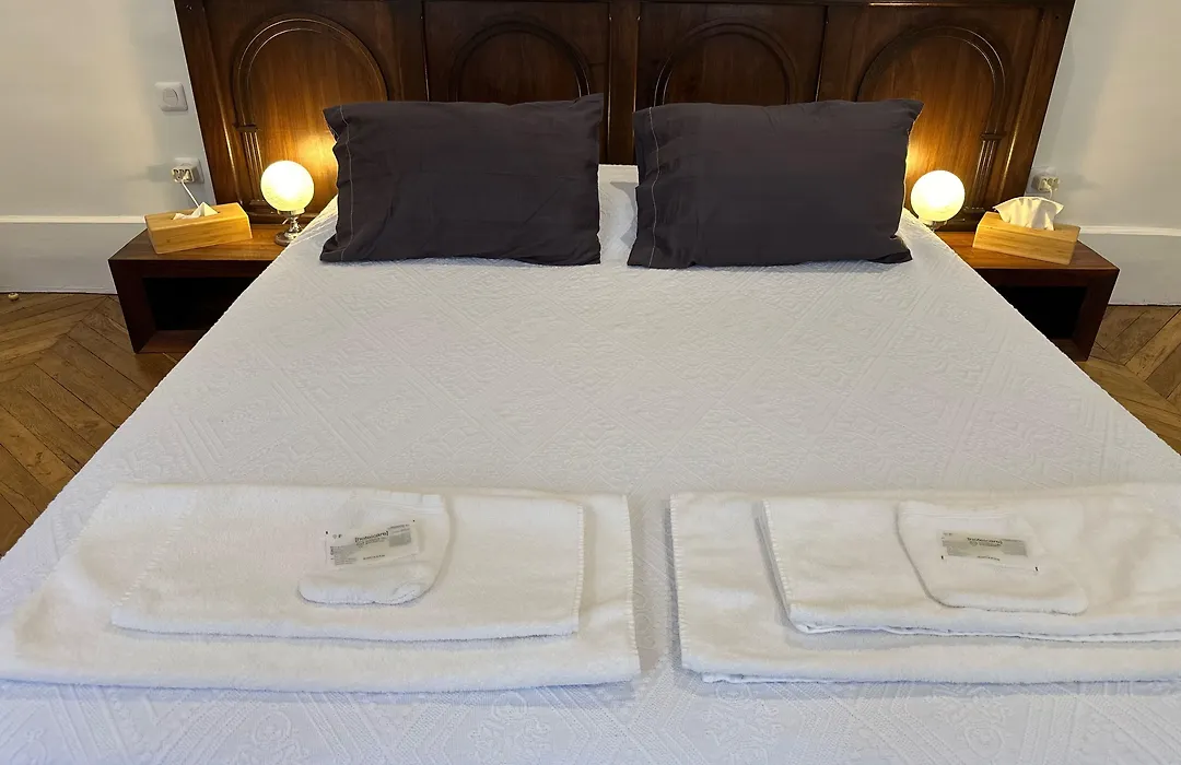 Chambre De Charme Au Coeur Du Vieux Valence -Confort & Calme-1